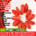 Best Organic Certificated Nutrition Goji Berry with high quality